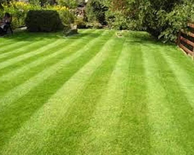 Lawn Care, Easton, PA