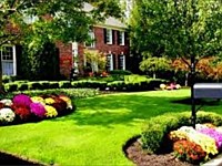 Landscape Maintenance