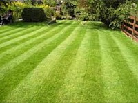 Landscape Maintenance