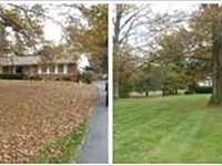 Landscape Maintenance